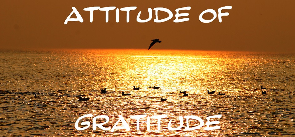 An Attitude of Gratitude