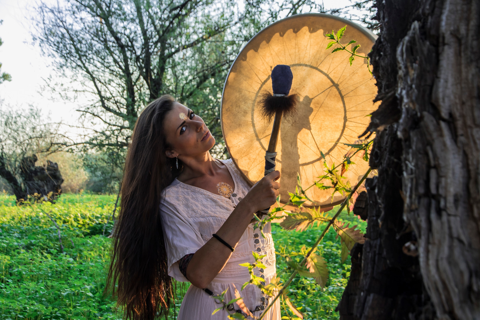 Shamanic Rituals Shared