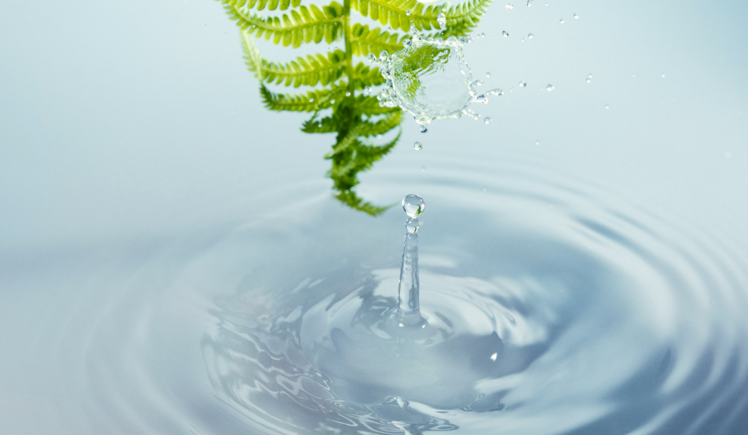 Using Water to Cleanse Your Energies